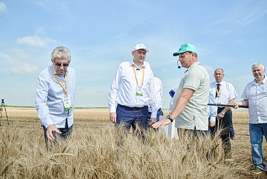 День поля – 2025